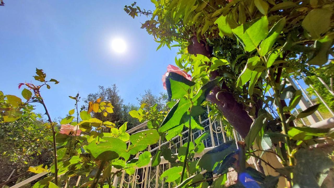 Euryclea Apartments Perachori Zewnętrze zdjęcie